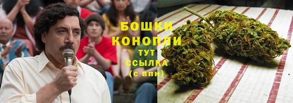 спайс Пересвет
