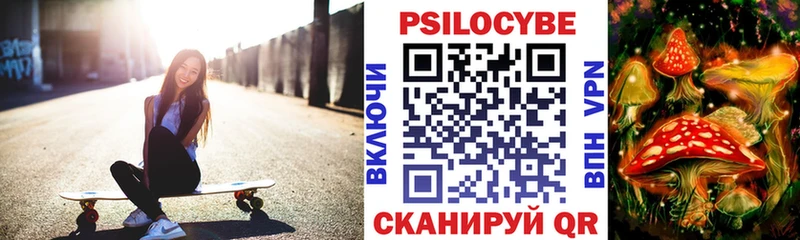 Галлюциногенные грибы Psilocybe Алушта